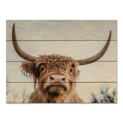 DAK102PAL - Highland Selfie - 16x12