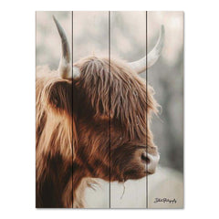 DAK136PAL - Highland Pose - 12x16