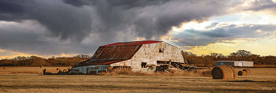 Dakota Diener Licensing DAK143LIC - DAK143LIC - Storm is Coming - 0  from Penny Lane