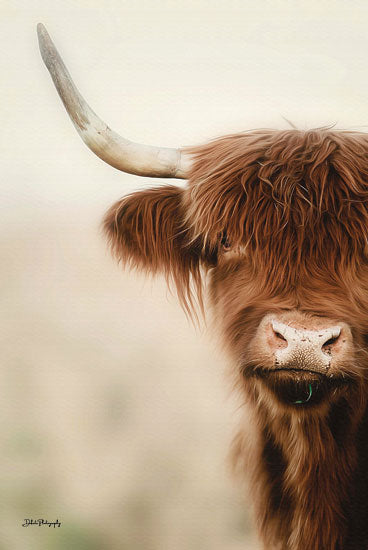 Dakota Diener DAK150 - DAK150 - Flanna - 12x18 Photography, Cow, Highland Cow, Farm Animal from Penny Lane