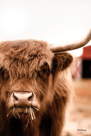 Dakota Diener DAK161 - DAK161 - Hungry Highland II - 12x18 Photography, Cow, Highland Cow, Farm Animal, Portrait from Penny Lane