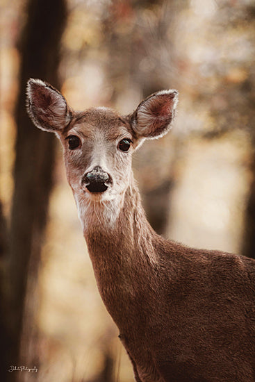 Dakota Diener DAK214 - DAK214 - On Alert I - 12x18 Photography, Deer, Wildlife, Portrait, On Alert from Penny Lane