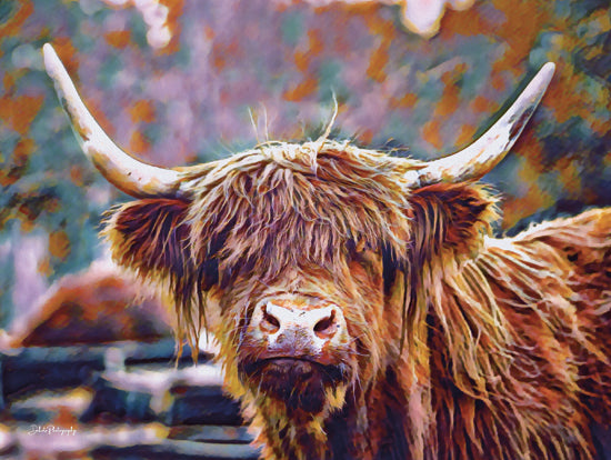 Dakota Diener DAK244 - DAK244 - Colorful Highland I - 16x12 Cow, Highland Cow, Colorful Highland Cow from Penny Lane