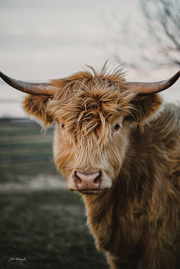 Dakota Diener DAK257 - DAK257 - Sawyer I - 12x18 Photography, Cow, Longhorn, Portrait, Tan from Penny Lane