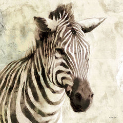 DD1467 - The Zebra - 12x12