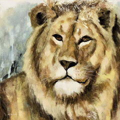 DD1468 - The Lion - 12x12