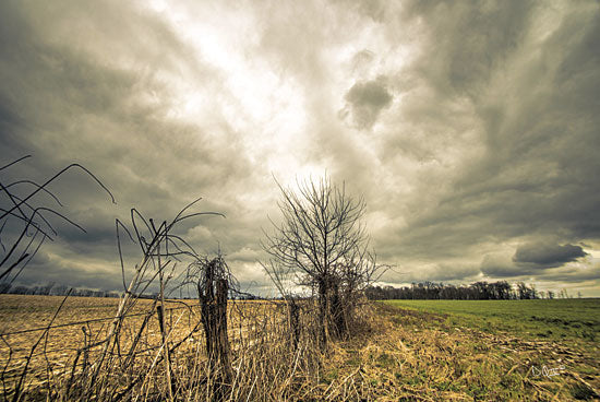 Donnie Quillen DQ103 - Storm Season II - Storm, Field, Landscape, Fence from Penny Lane Publishing