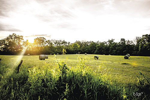 Donnie Quillen DQ126 - Daybreak in the Country II - Haystacks, Trees, Field, Farm from Penny Lane Publishing