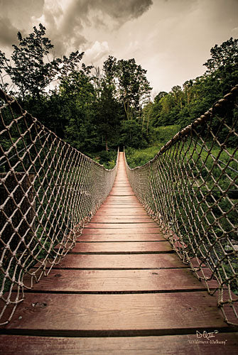 Donnie Quillen DQ129 - Wilderness Walkway - Walkway, Path, Rope, Bridge, Trees from Penny Lane Publishing