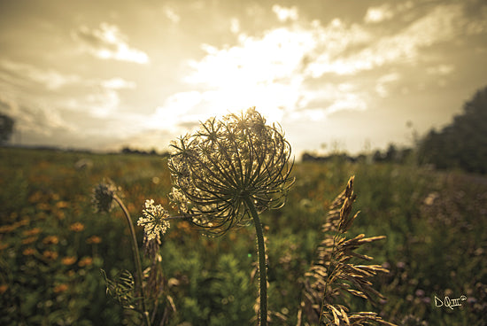 Donnie Quillen DQ132 - Face the Sun II - Landscape, Nature, Field from Penny Lane Publishing