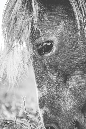 Donnie Quillen DQ159 - DQ159 - Old Faithful    - 12x18 Horse, Portrait, Black & White, Photography from Penny Lane