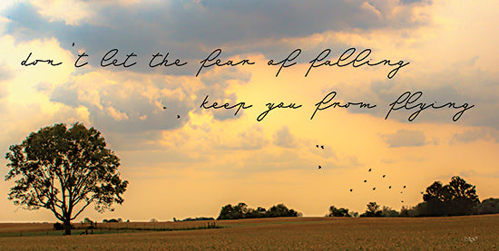 Donnie Quillen DQ198 - DQ198 - Fear of Falling - 18x12 Fear of Falling, Photography, Landscape, Birds, Trees, Sky, Clouds, Motivational, Typography, Signs from Penny Lane