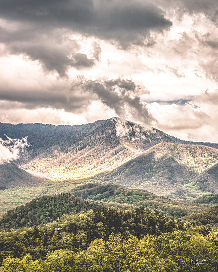 Donnie Quillen DQ216 - DQ216 - After the Storm - 12x16 Photography, Mountains, Trees, Landscape, Clouds, Nature from Penny Lane