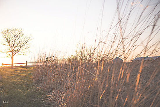 Donnie Quillen DQ231 - DQ231 - Bright Sun Haze IV - 18x12 Photography, Landscape, Field, Sun, Nature, Fall from Penny Lane