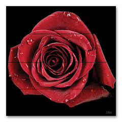 DQ250PAL - Broken Heart Rose - 12x12