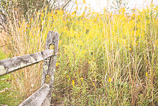 Donnie Quillen DQ265 - DQ265 - Fence Stops Here - 18x12 Photography, Fence, Wildflowers, Yellow Wildflowers from Penny Lane