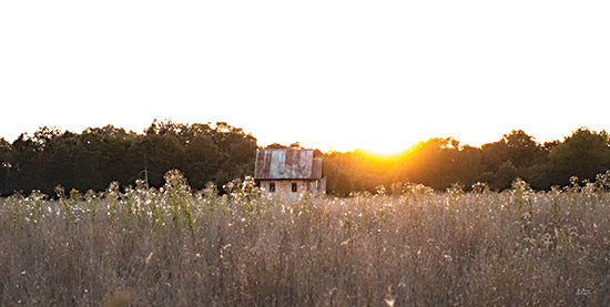 Donnie Quillen DQ269 - DQ269 - Field Find - 18x9 Farm, Barn, Field, Sunset, Photography, Nature, Landscape from Penny Lane