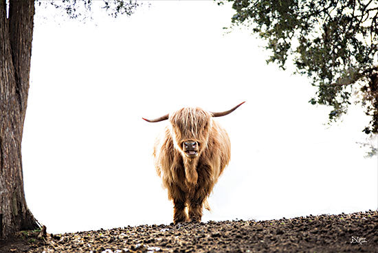 Donnie Quillen DQ294 - DQ294 - Hilltop Highland II - 18x12 Highland Cow, Cow, Photography, Hilltop Highland Cow, Landscape, Trees from Penny Lane