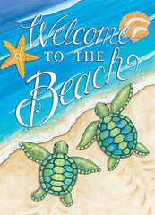 DS1920 - Beach Baby Turtles - 0