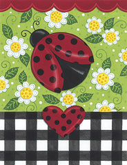 DS1999 - Ladybug & Plaid - 0