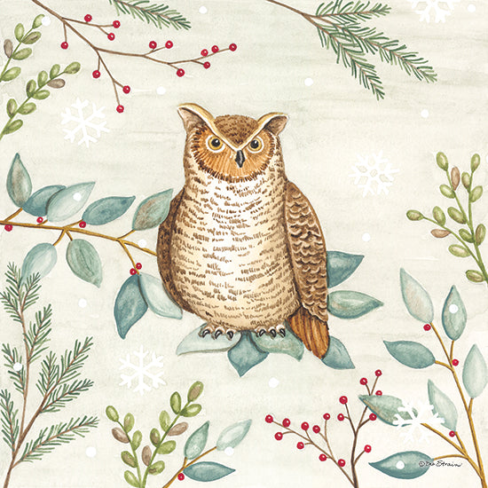 Deb Strain DS2177 - DS2177 - Woodland Animals Owl - 12x12 Bird, Owl, Woodland Bird, Greenery, Berries, Pine Cone, Winter, Children from Penny Lane