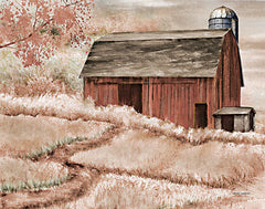 ED436 - Country Barn II - 16x12