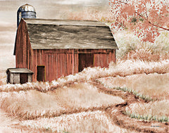 ED479 - Country Barn II    - 16x12