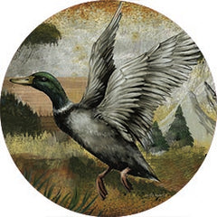 ED480RP - Mallard Duck - 18x18