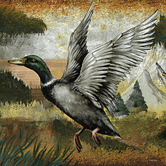 ED480 - Mallard Duck - 12x12