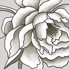 ET135 - Macro Peony Sketch II - 12x12