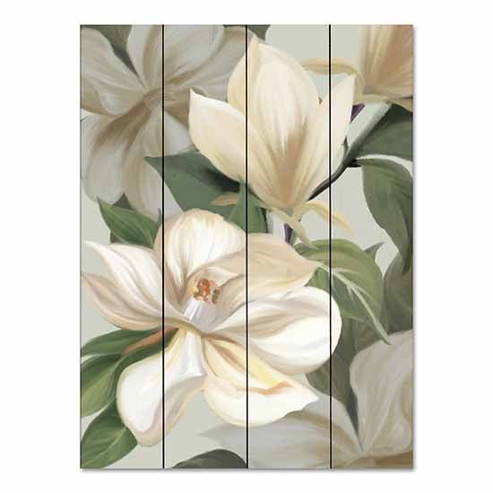 House Fenway FEN531PAL - FEN531PAL - Magnolia Blossoms I - 12x16 Magnolias, Blossoms, Flowers, White Magnolias, Blooms, Botanical from Penny Lane