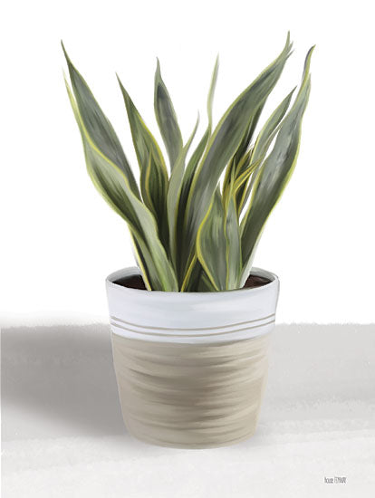House Fenway FEN635 - FEN635 - Snake Plant I - 12x16 Snake Plant, House Plant, Greenery, Pot from Penny Lane