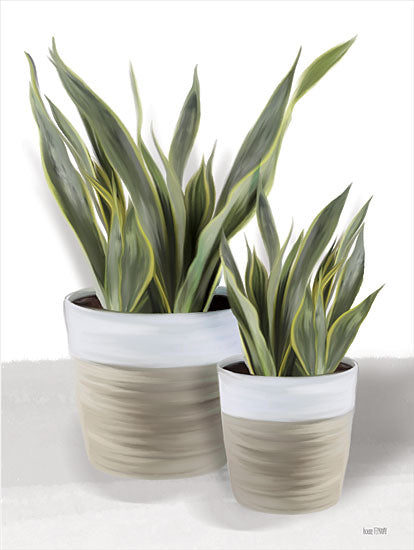 House Fenway FEN636 - FEN636 - Snake Plant II - 12x16 Snake Plants, House Plants, Greenery, Pots from Penny Lane