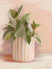 FEN664LIC - Striped Bohemian Plant I - 0