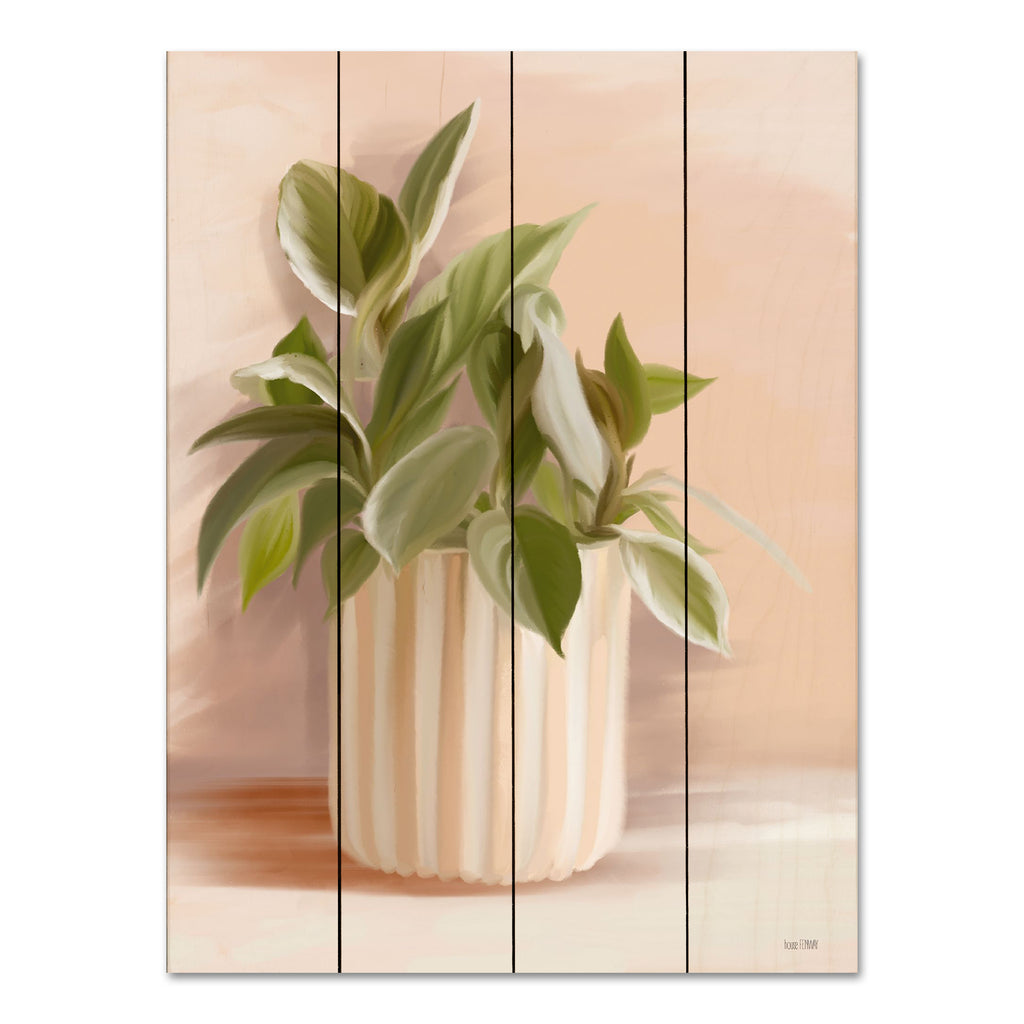 House Fenway FEN664PAL - FEN664PAL - Striped Bohemian Plant I - 12x16 Plant, Houseplant, Potted Plant, Striped Vase, Greenery from Penny Lane