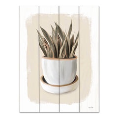 FEN692PAL - House Plant I - 12x16