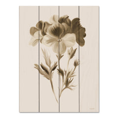 FEN759PAL - Sepia Botanical I     - 12x16