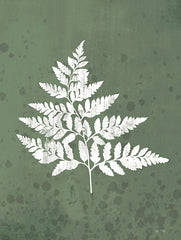 FEN852 - Fern Botanical I - 12x16