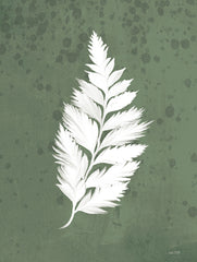 FEN854 - Fern Botanical III - 12x16