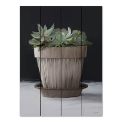 FEN866PAL - Farmhouse Succulent - 12x16