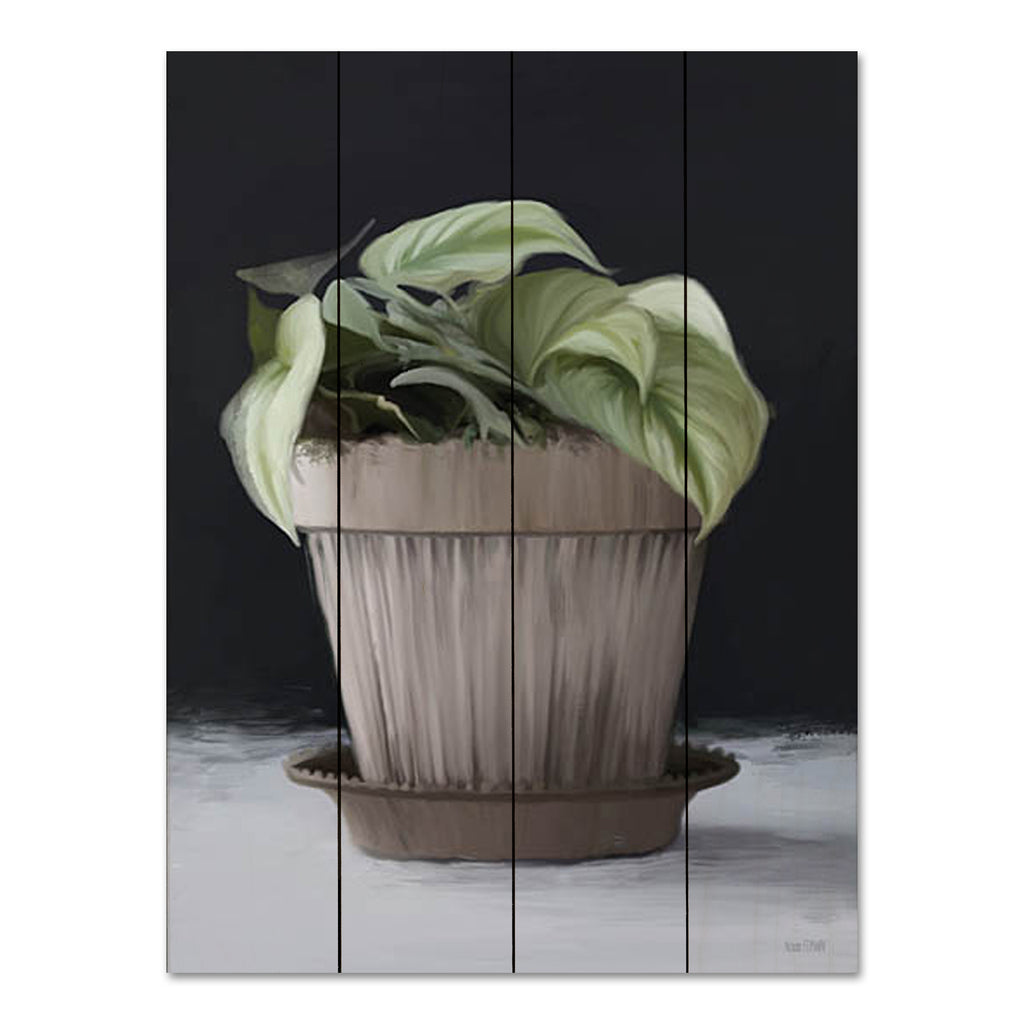 House Fenway FEN867PAL - FEN867PAL - Farmhouse Philodendron - 12x16 Philodendron, Plant, Potted Plant, Houseplant, Farmhouse/Country from Penny Lane