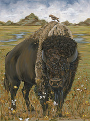 HH212 - Bison    - 12x16