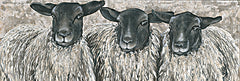 HH222A - Three Sheep   - 36x12