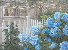 JAN268 - Hydrangeas - 16x12