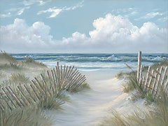 JAN279 - Pathway Through the Dunes - 16x12