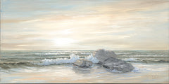 JAN313 - Rocks at Sunrise - 18x9