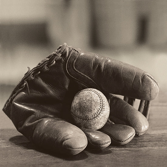 JG Studios JGS344 - JGS344 - Ball in Mitt - 12x12 Photography, Black & White, Baseball, Baseball Glove from Penny Lane