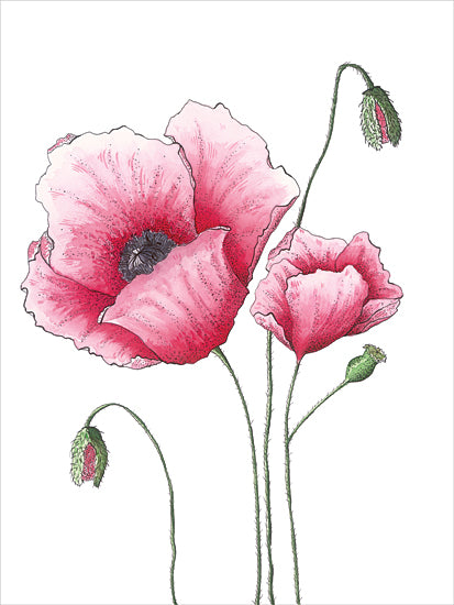 JG Studios JGS553 - JGS553 - Pink Poppies - 12x16 Flowers, Poppies, Pink Poppies, Buds, Blooms, Spring, Spring Flowers from Penny Lane