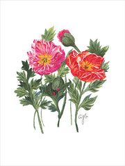 JGS556 - Poppy Stems - 12x16