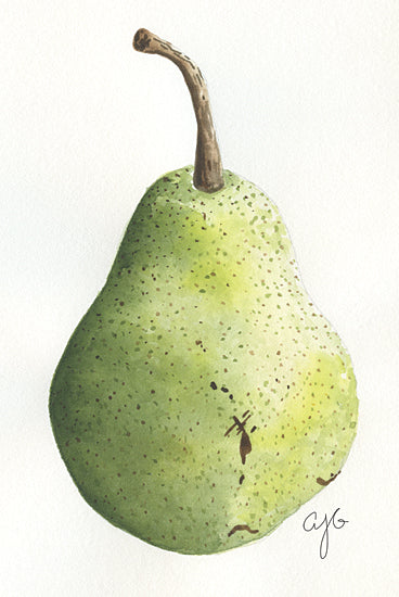 JG Studios JGS559 - JGS559 - Pear Study - 12x18  Kitchen, Pear, Fruit, Pear Study from Penny Lane